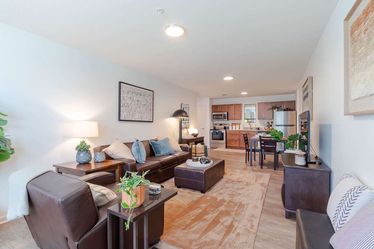 TheView ModelUnit 6 25 11
