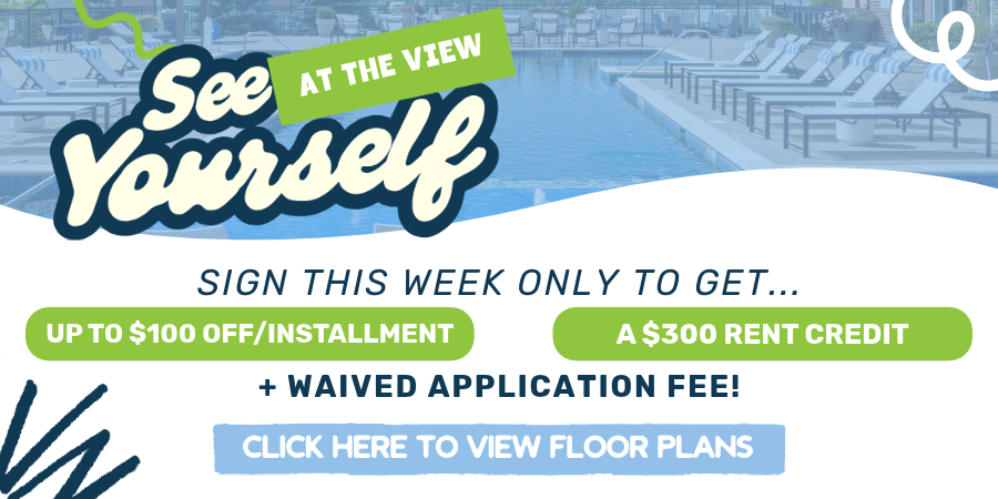 Maci 2026 Pop Up Ad Template (15)
